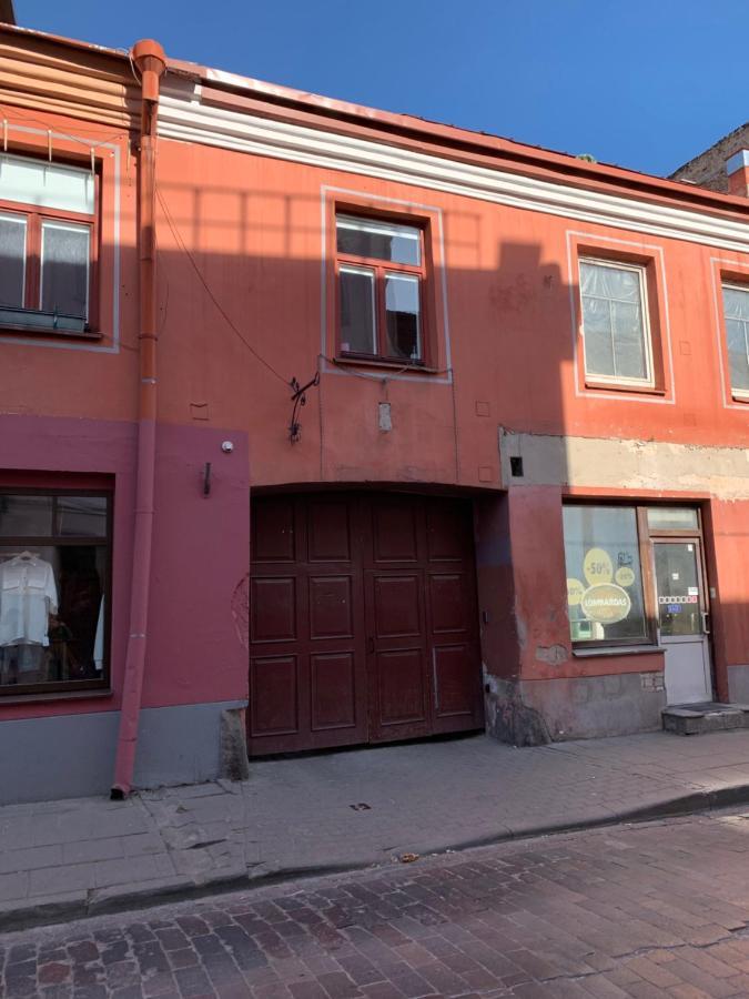 Old Studio Apartment Vilnius Bagian luar foto